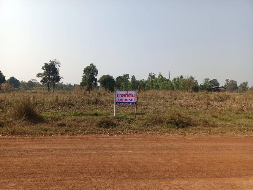 ขายที่ดินจังหวัดอุดรธานี หนองหาน บ้านดอนกลอย พิบูลย์รักษ์ 6