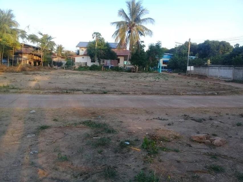 ที่ดิน สุโขทัย 7