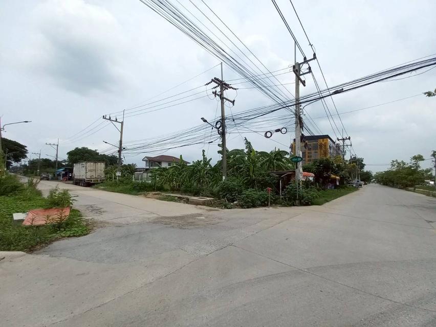 ขายที่ดินเปล่า ในหมู่บ้านฟีนิกซ์ปาร์ค(ซอย11) ซอยไอยรา 28 คลองสอง คลองหลวง ปทุมธานี 4