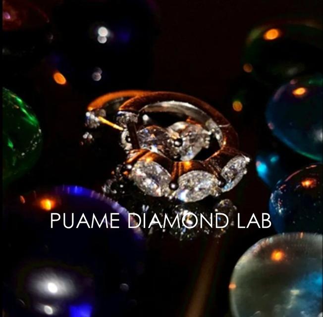 ต่างหูเพชรแท้ เพชรคัดสรรอย่างพิถีพิถัน ดีไซน์โดดเด่น งานผีมือละเอียดประณีต พร้อมใบรับประกันสินค้าที่ปุอามี่ Diamond Lap Rama2 (095-8894732)