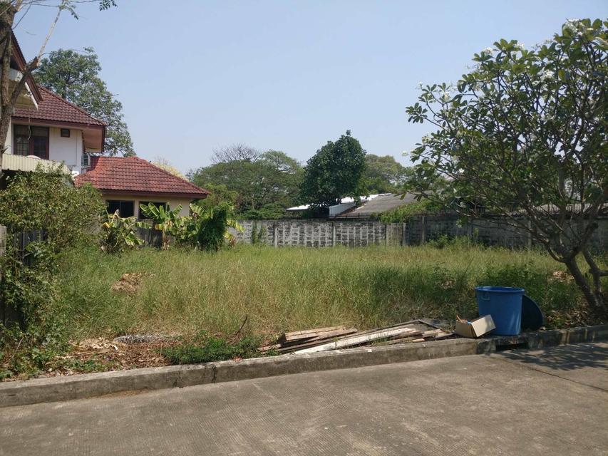 รูป ขายที่ดินเปล่าสำหรับปลูกบ้าน 78 ตารางวา แปลงมุม หมู่บ้านปัญญาเลคโฮม คลองสามวา กทม. 2