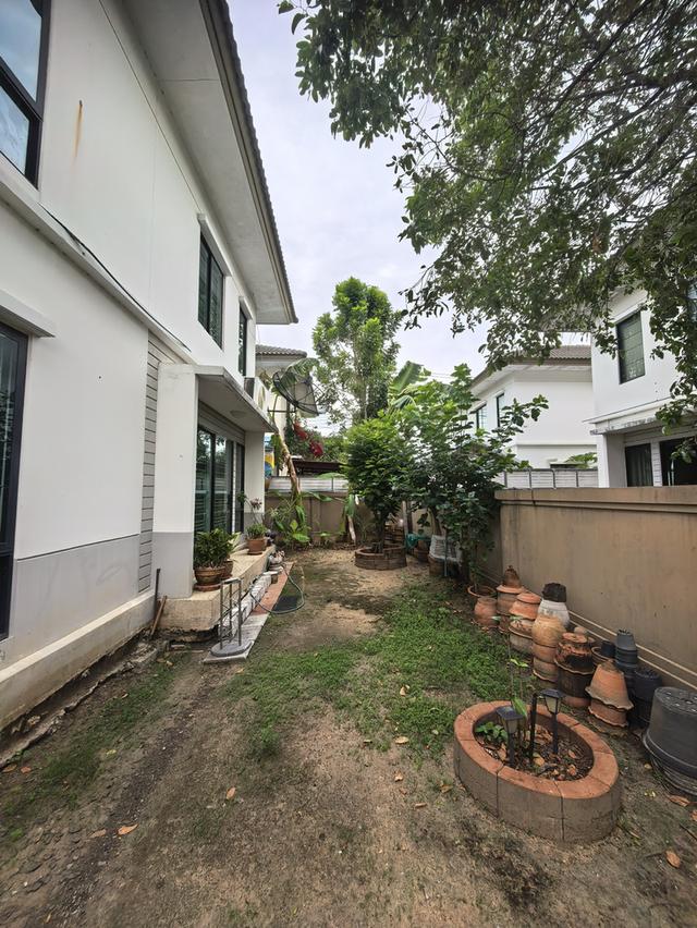 ขายบ้านเดี่ยว 3ห้องนอน 2ห้องน้ำ 2 จอด 2