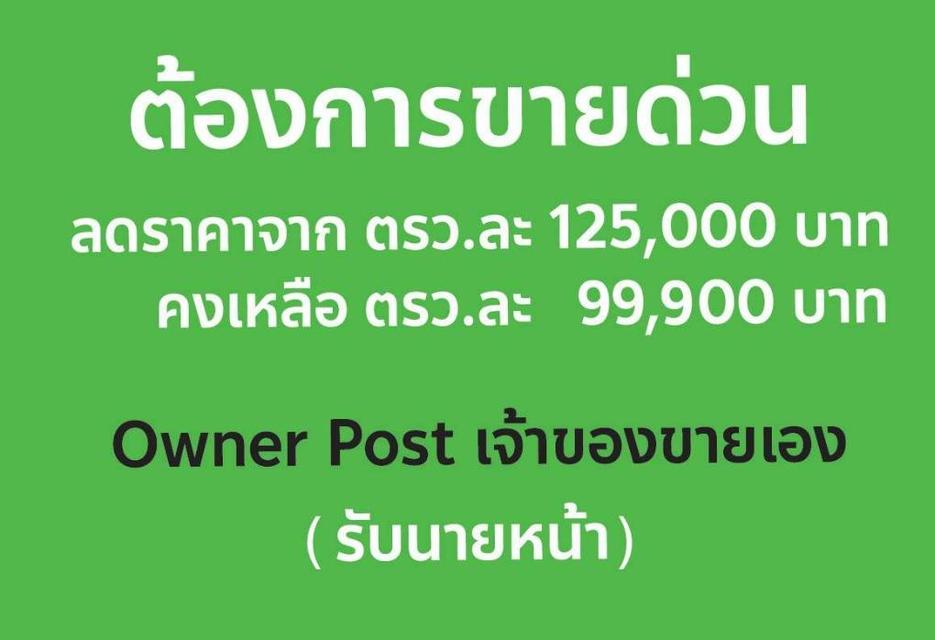 ขายที่ดิน 2 ไร่ ซอยเลี่ยงเมือง ปากเกร็ด 18  จ.นนทบุรี  1