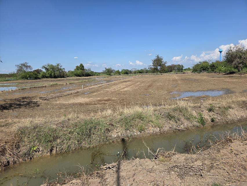 ที่ดิน อ.ภาชี จ.อยุธยา 5