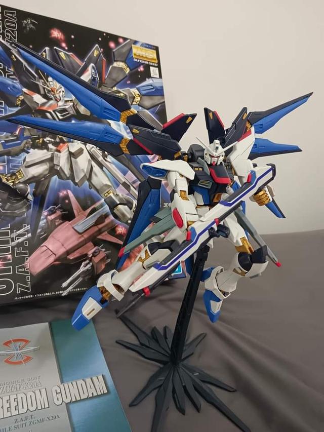 MG STRIKE FREEDOM GUNDAM