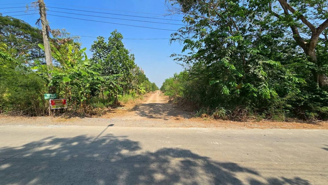 Vายที่ดิน 200 ตารางวา ติดถนนดิน เลียบคลองหก ต.คลองหลวง ปทุมธานี 4