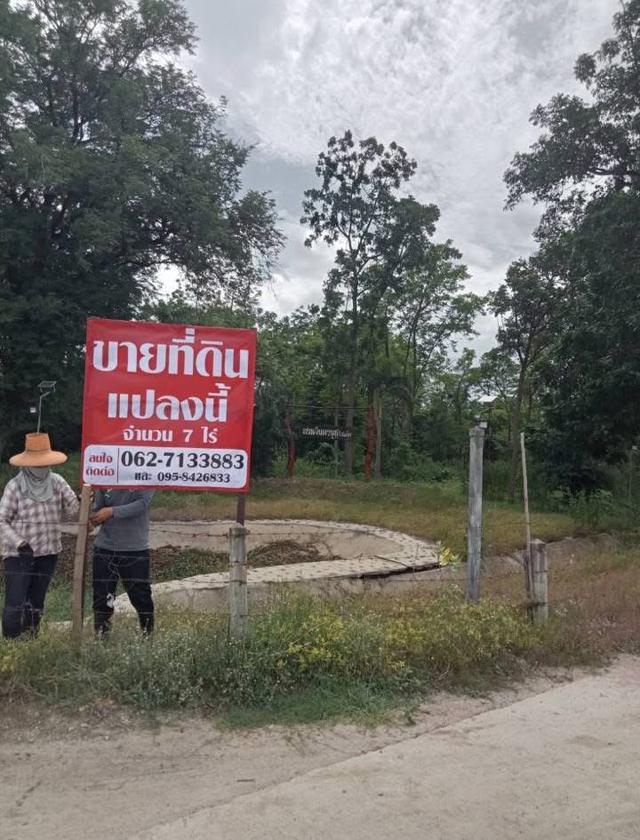 ขายที่ดิน หลังโรงพยาบาล เลาขวัญ 7ไร่ 4
