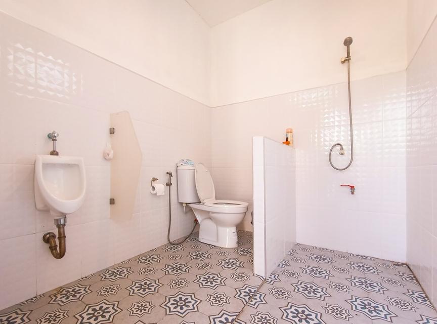 บ้านในสวนว่างให้เช่า 11