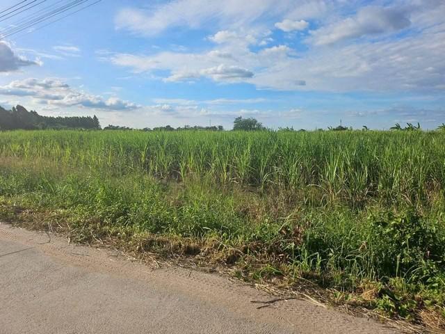 ขายที่ดินสวยพนัสชลบุรี ขายที่ดิน 47 ไร่ 40 ตารางวา ผังสีเหลือง เป็นถนนสี่เลนอยู่ในแหล่งความเจริญ ใกล้เขตอุตสาหกรรม 3