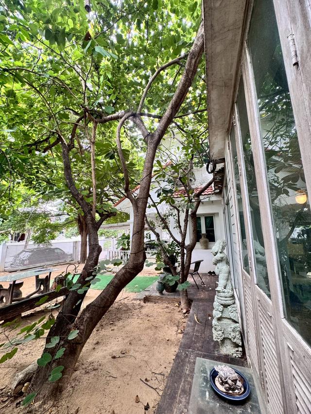 ขายบ้านเดี่ยว 2 ชั้น หมู่บ้านชัยพฤกษ์รามอินทรา บ้านหลังมุมพื้นที่เยอะ (N.1789) 8