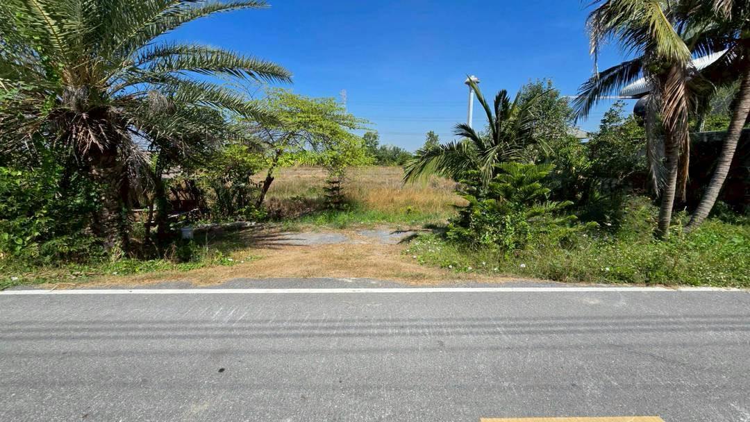 ขายด่วนที่ดินผังสีม่วง 466 ตรว ติดถนนลาดยางสาธารณะ ถนน นบ.3015 อ ไทรน้อย จ.นนทบุรี 1