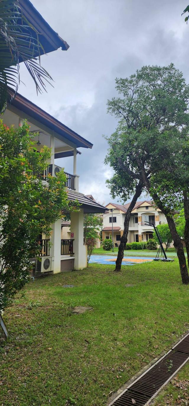 ประกาศขายโรงแรม ที่เชียงใหม่ อยู่หางดง เยื้อง อบต สันผักหวาน