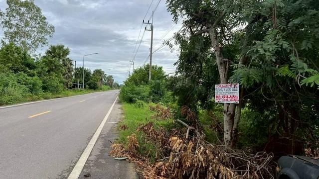 ขายที่ดิน 132 ตารางวา ตำบลหนองจอก อำเภอท่ายาง จังหวัดเพชรบุรี ราคา 1,320,000 บาท 3