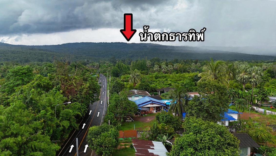 บ้านพร้อมที่ดิน203ตรว. 2