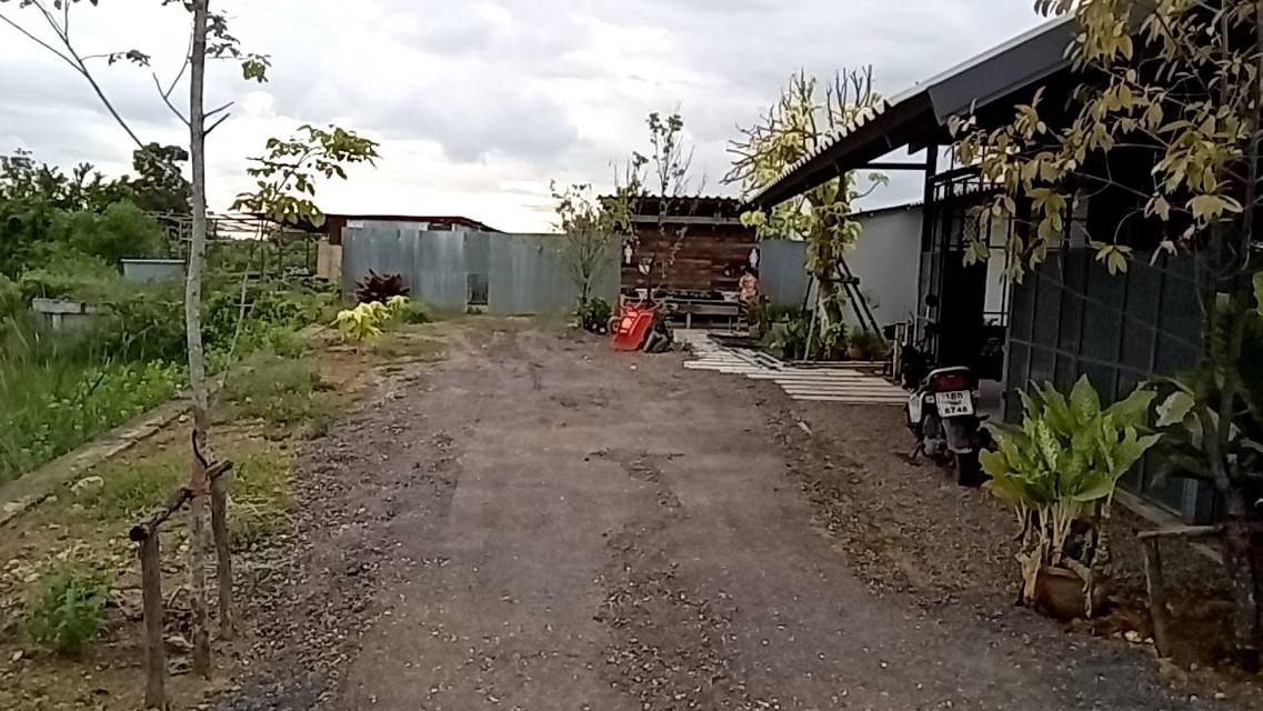 ขายร้านข้าวแกงพร้อมบ้าน 16