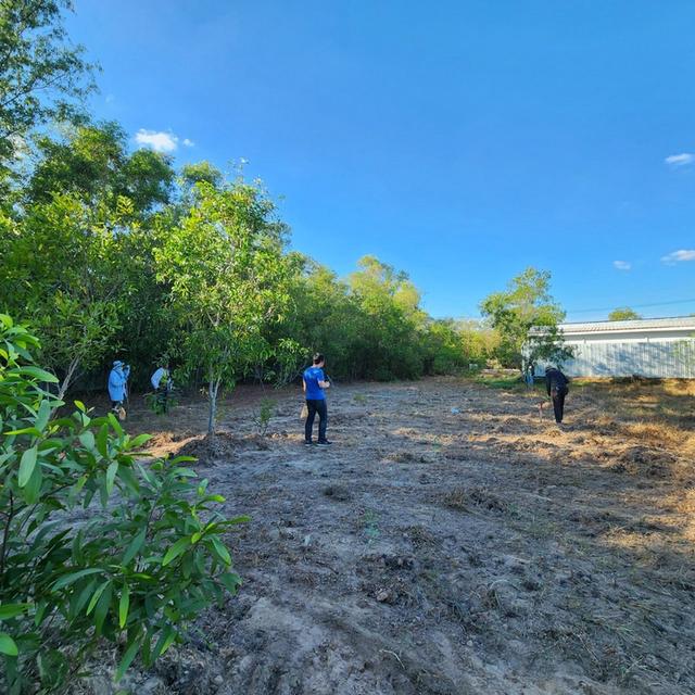 vายถูก ที่ดินบ้านช้าง อ.เมือง จ.อุดรธานี 7