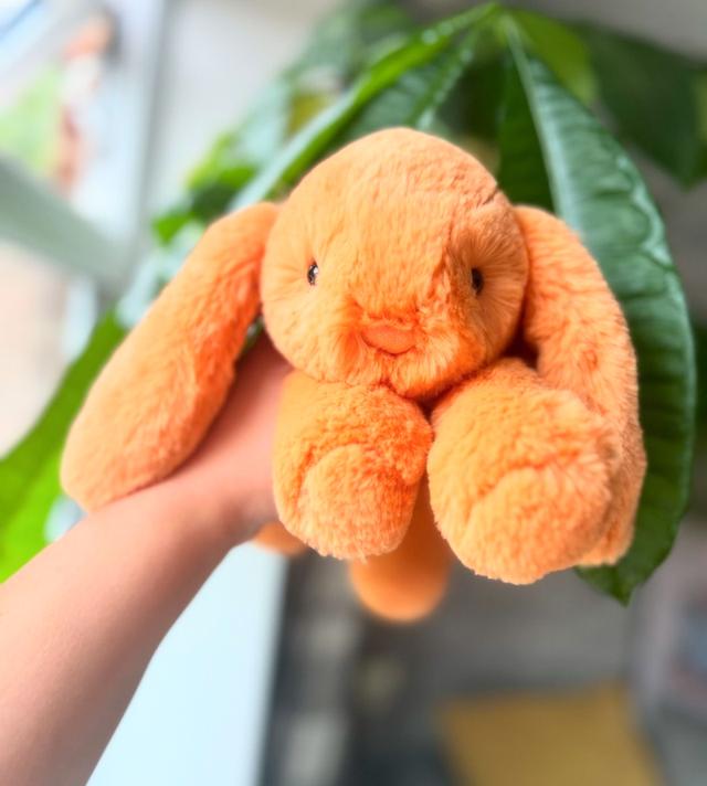 ขายตุ๊กตากระต่าย Jellycat สีส้ม 3