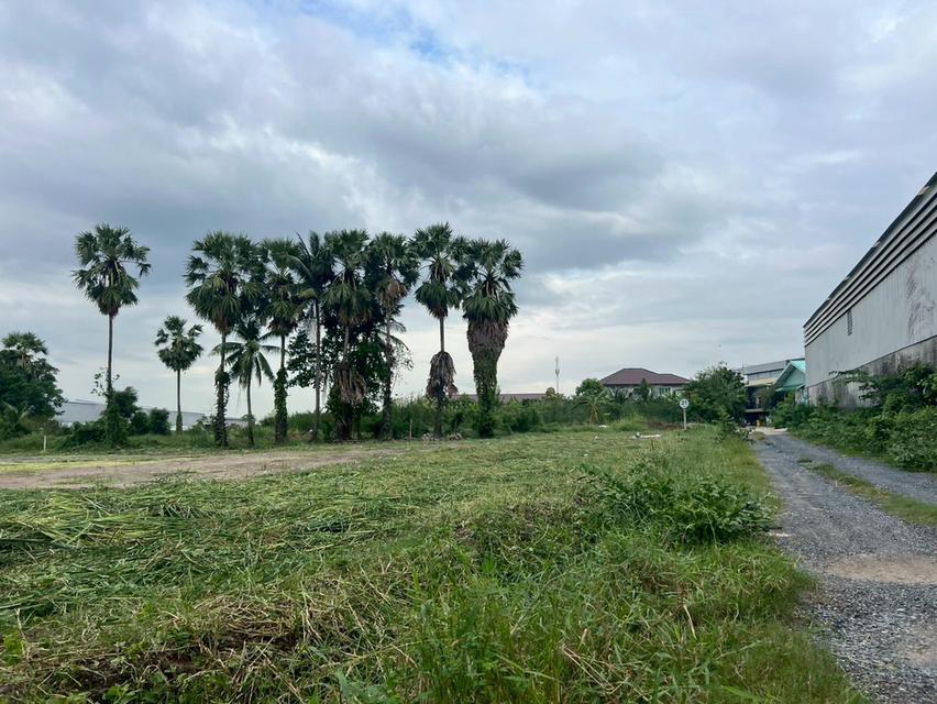 ที่ดินสวย 1-3-51 ไร่ ผังสีม่วงลาย ถนน 340 บางบัวทอง-สุพรรณบุรี บางบัวทอง นนทบุรี 3