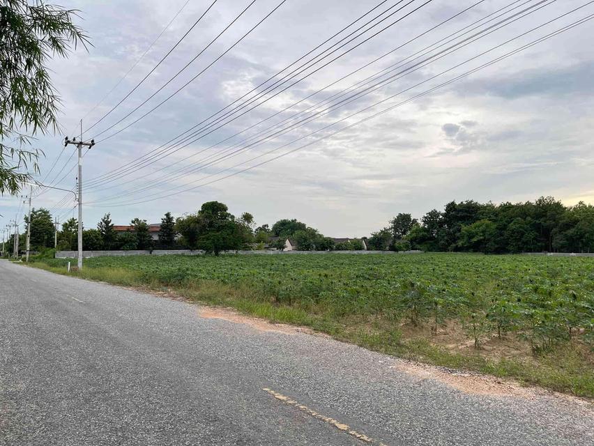 ขายที่ดินหนองเหียง พนัสนิคม 3 ไร่ บ้านไทรคู่ซอย13 ใกล้ถนน3086-1กม. อ.พนัสนิคม จ.ชลบุรี 3