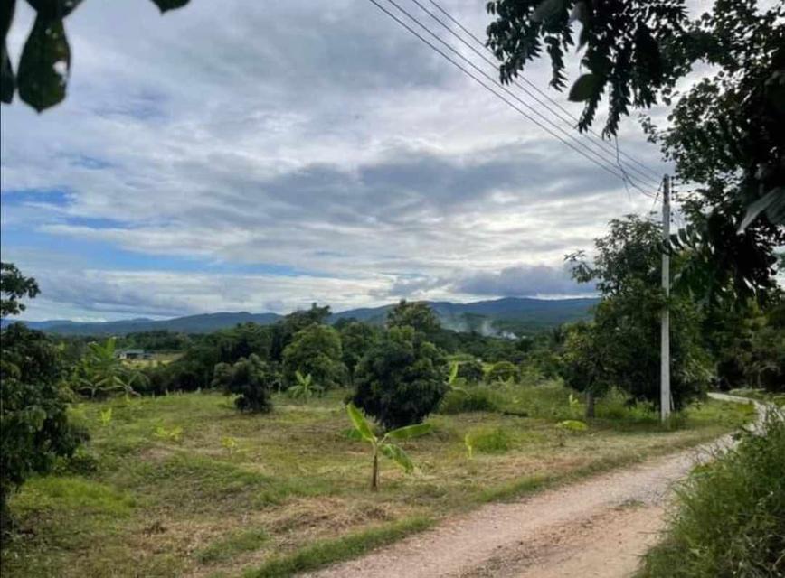 🌳ขายที่ดินเจ้าของขายเอง ด่วน📌 9
