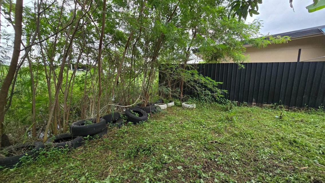 ขายที่ดินพัฒนาการ 191 ตรว ติดถนนลาดยางสาธารณะ ถมแล้ว ซ.พัฒนาการ 96 ประเวศ กทม. 6