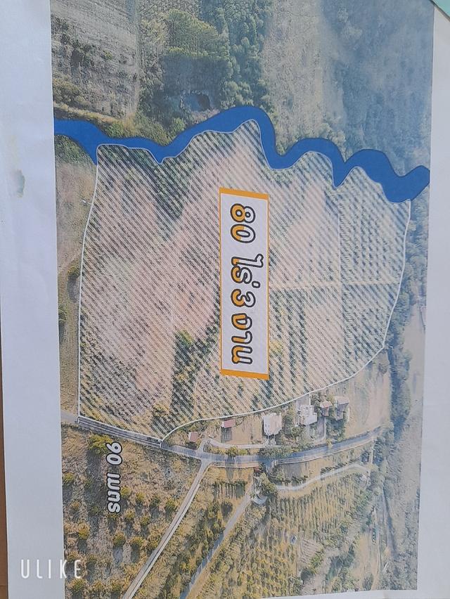 ที่ดินเปล่า 79 ไร่ 1 งาน 60 ตรว. 1