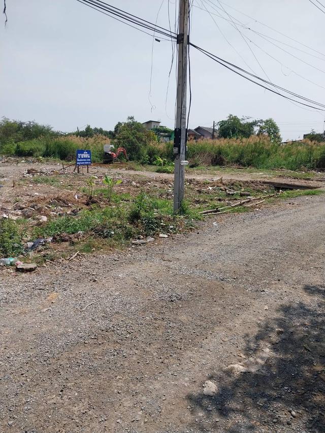 ขายที่ดิน 50/100 ตรว.ใกล้แหล่งชุมชนโรงเรียนใกล้ทางด่วนอุดรรัถยา ม.ธรรมศาสตร์ ศูนย์รังสิต  ม.ปทุมฯตลาดทรัพย์ปทุมทางเข้าซุ้มวัดบัวหลวง โทร081-2056883 3 3