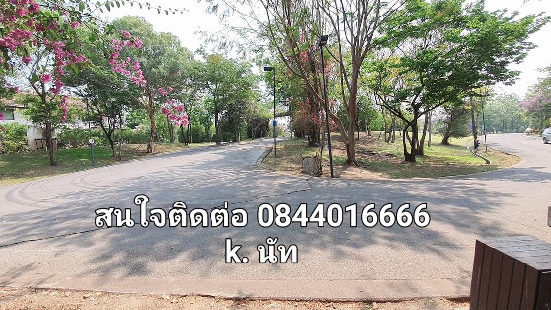 บ้านเดี่ยว 2ชั้น 4นอน 4น้ำ 2จอด 11