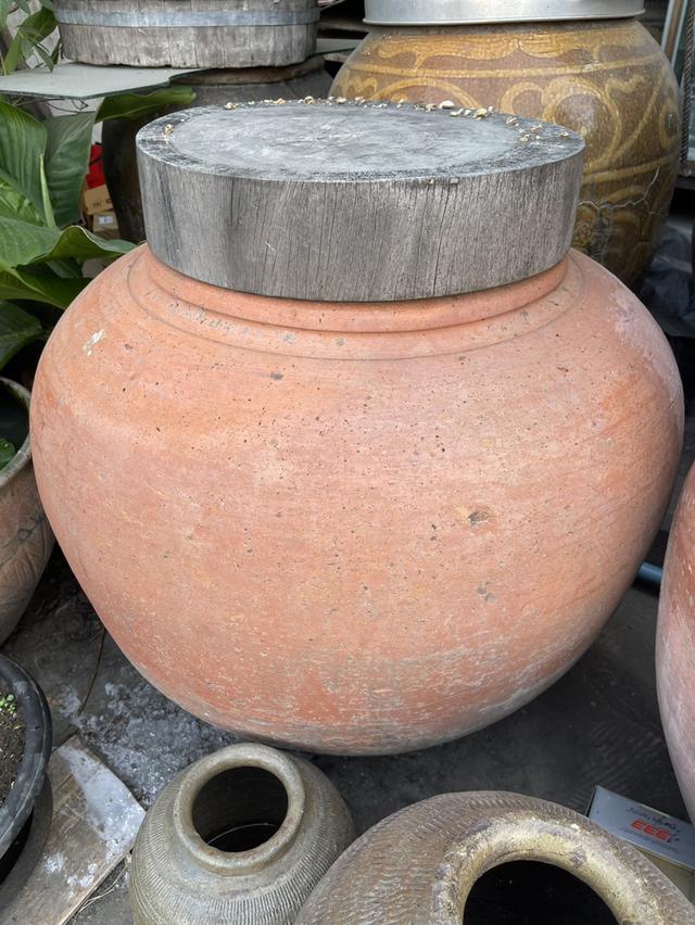 โอ่งแดง ใบใหญ่ ไซต์จัมโบ้ ขนาด70ซม โอ่งดินเผาอยุธยา 4