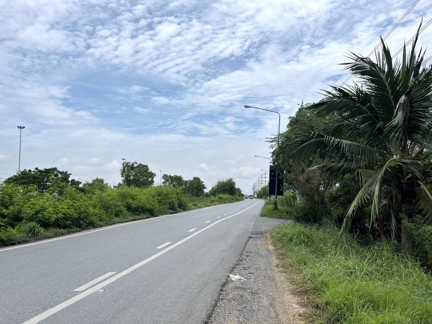 ขายไร่ละ 10 ล้าน ที่ดิน 8 ไร่ ติดถนนสายเอเชีย หน้านิคมไฮเทค บางปะอิน 2