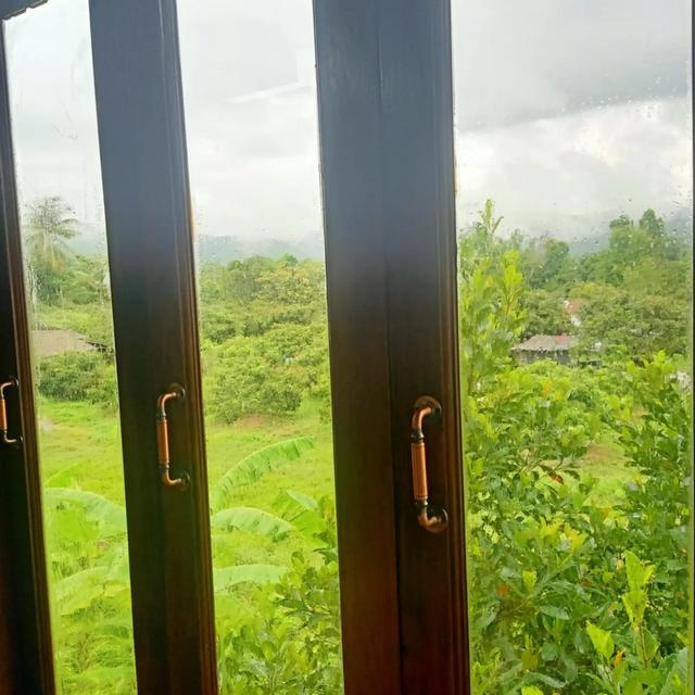 บ้านในสวนว่างให้เช่า 18