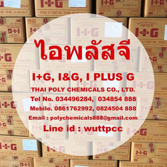 ไอพลัสจี, I PLUS G, I+G, I&G, ไรไบนิวคลีโอไทด์, Ribonucleoti 1