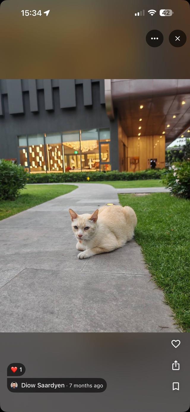 คอนโด condominium ห้องเช่า 8