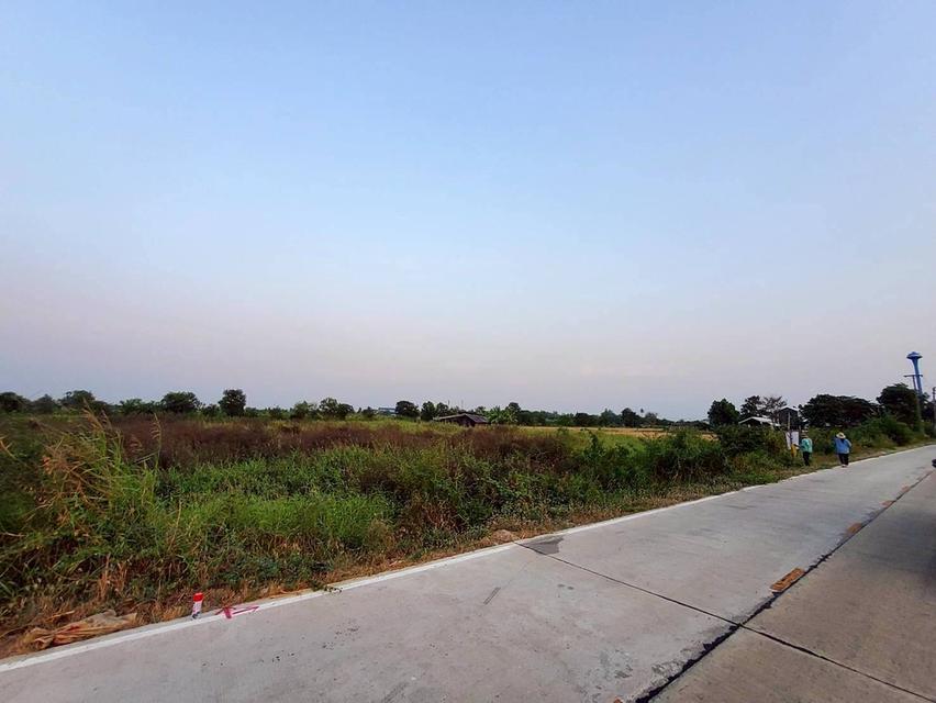 ขายด่วนที่ดิน 400 ตรว ติดถนนสาธารณะ ลาดหลุมแก้ว ปทุมธานี 7