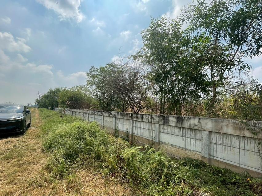 ขายที่ดินพร้อมสิ่งปลูกสร้าง คลอง 14 ลำลูกกา ปทุมธานี | เหมาะทำคลังสินค้า โกดัง 5