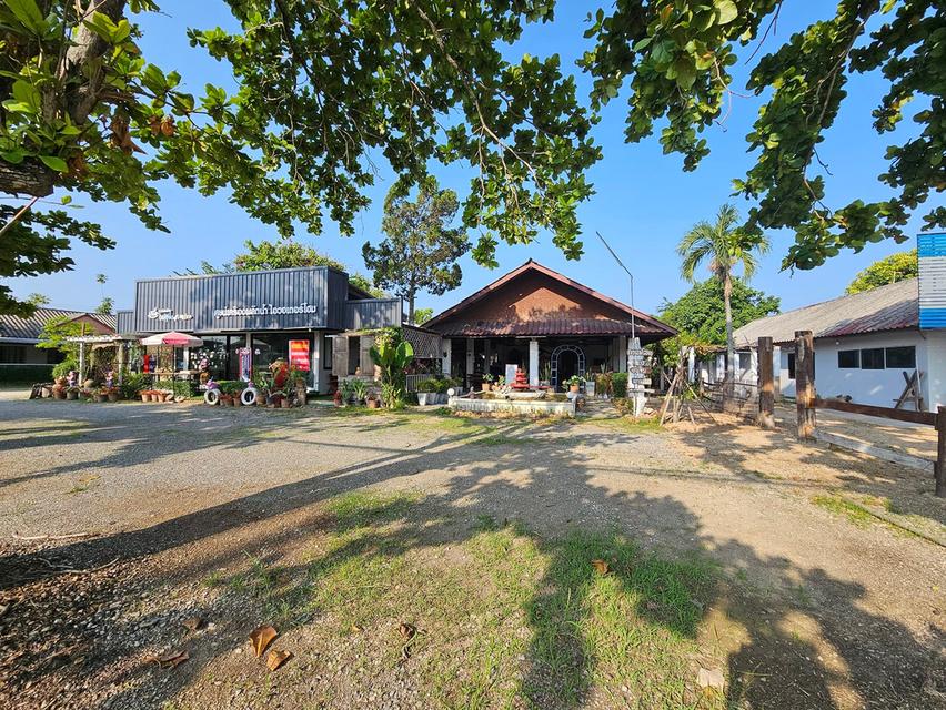  ขายที่ดิน ติดถนนใหญ่ พร้อมสิ่งปลูกสร้าง   ร้านนิวเรือนไทย   อ.ป่าซาง จ.ลำพูน 2