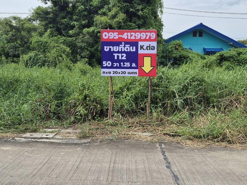 ขายที่ดิน พหลโยธิน 54/1แยก8-4-3 ซอยตาลเดี่ยว 50 วาแปลงสวย ซอย2 คอนกรีตแปลงสุด ท้าย ทิศใต้ด่วน 1.25 ล้านบาทสุดท้าย หรือคุณจะเข้าสายไหมซอย 6 ก10ม ย20ม. 6