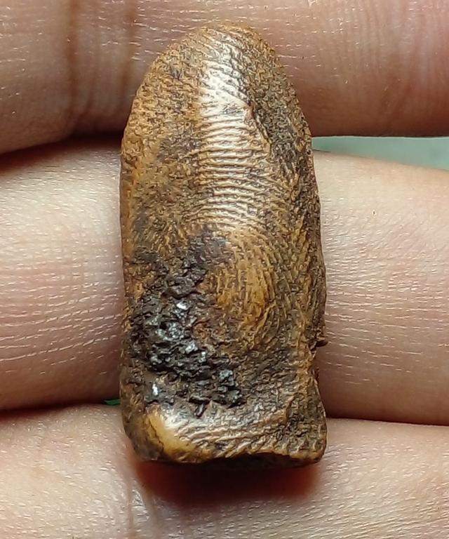 พระรอด ลำพูน พระบ้านสะสม 2