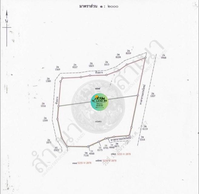 ขายที่ดิน 19 ไร่ ต.หนองหงษ์-พานทอง-ชลบุรี 6