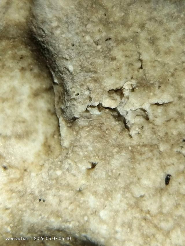 พระสมเด็จวัดระฆังพิมพ์อกกระบอกเล็ก รูปที่ 13