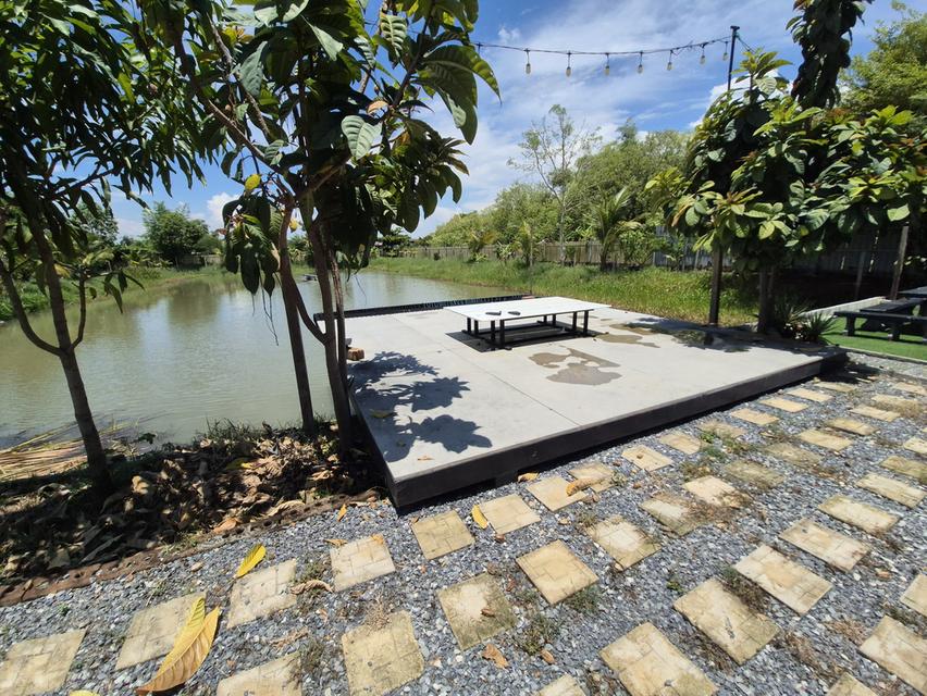 บ้านพร้อมที่ดินทำสวนเกษตร 8