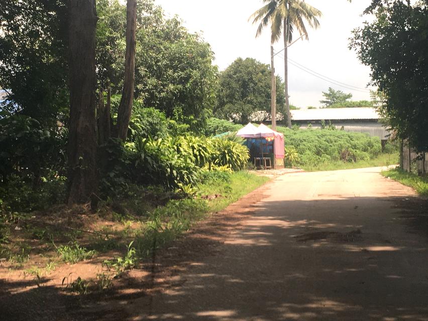 ขายที่ดินหนองขาม ศรีราชา ชลบุรี เนื้อที่ 9-1-84ไร่ หน้ากว้าง 90เมตร ลึก 180เมตร ที่ดินพื้นที่สีเหลืองอ่อน ผังเมือง EEC ใกล้นิคมปิ่นทอง3 4