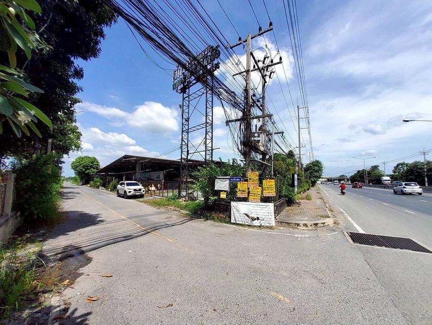 ที่ดิน 1
