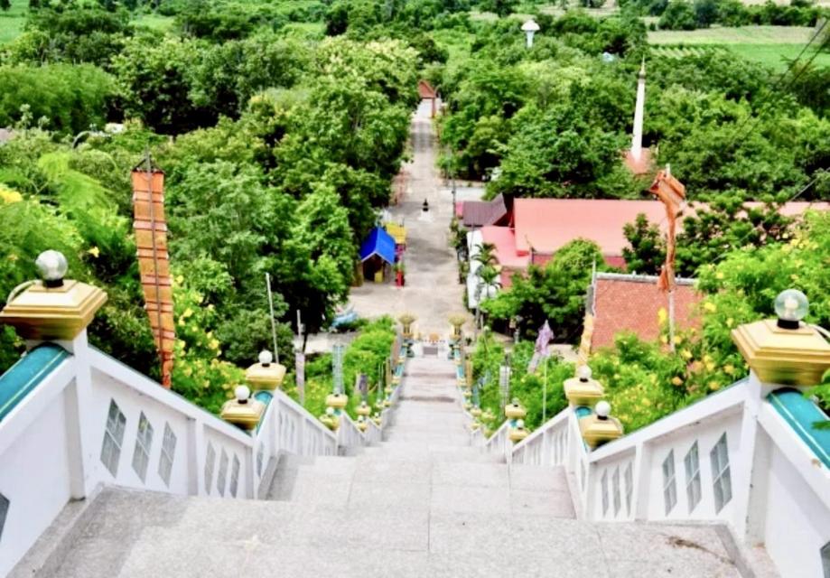 ที่ดิน โคกสำโรง ลพบุรี ขนาด 200 ตร วา 150000 บาท 5