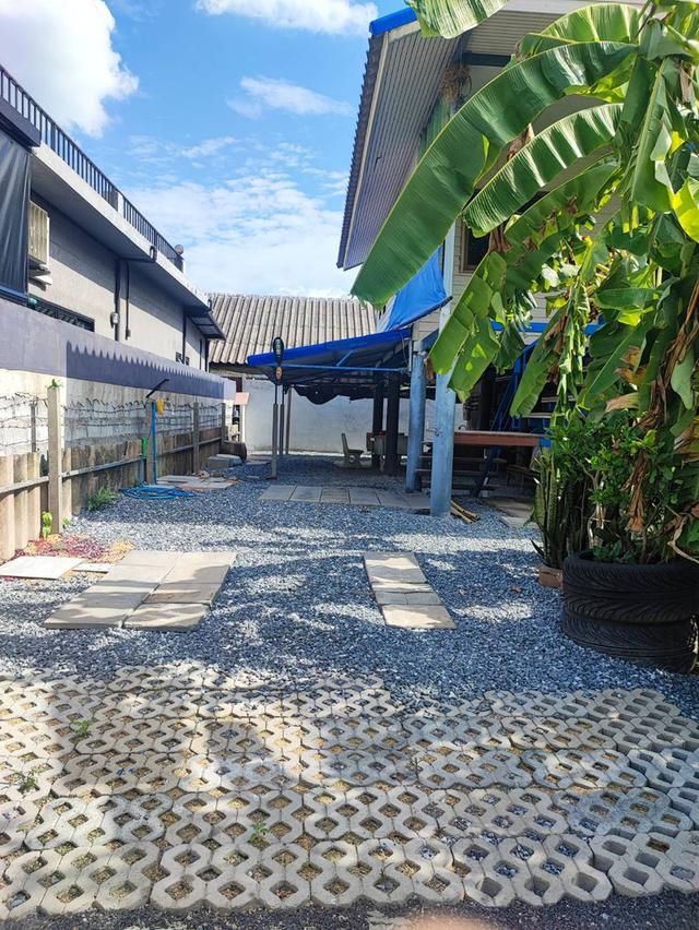 บ้านเดี่ยว 45 ตรว. ใกล้ ม.พฤกษา 3 วัดลาดปลาดุก บางบัวทอง 14