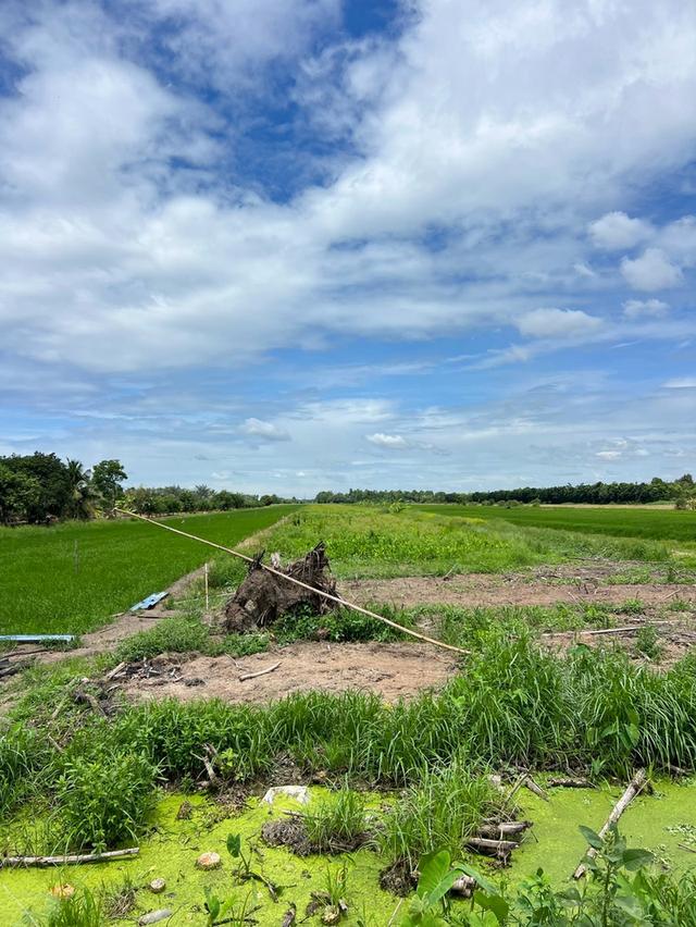 ขายที่ดินแปลงใหญ่ คลอง 11 หนองเสือ เหมาะทำบ้านสวน–เกษตร ราคาเฉลี่ยเพียง 5.8 แสน/ไร่ 6