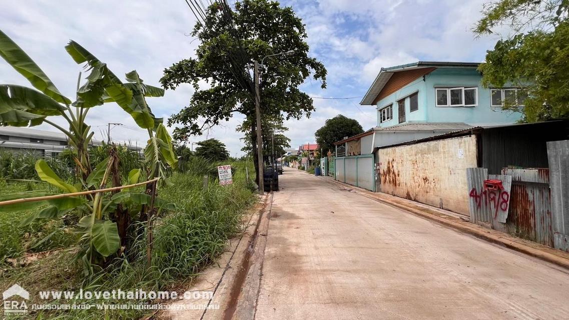 ขายที่ดิน ถนนบางกระดี่19 แยก6 พื้นที่ 792 ตรว. ราคาถูกที่สุดในย่านนั้น ใกล้เซ็นทรัล พระราม2 เหมาะลงทุน 6