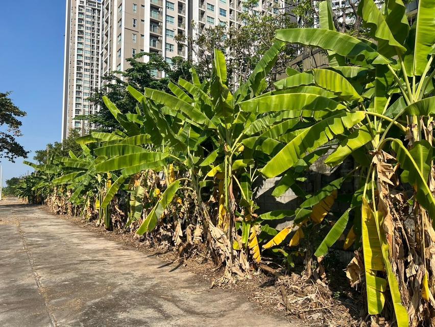 ขาย / ให้เช่า ที่ดินแปลงใหญ่ติดถนนพระราม 9 เนื้อที่ 7-2-85 ไร่ **เจ้าของขายเอง** 7