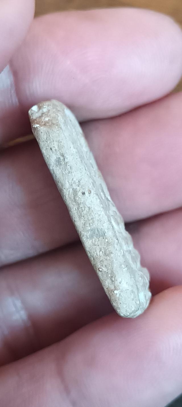 เปิดครับ    พระสมเด็จเก่าๆ รูปที่ 5