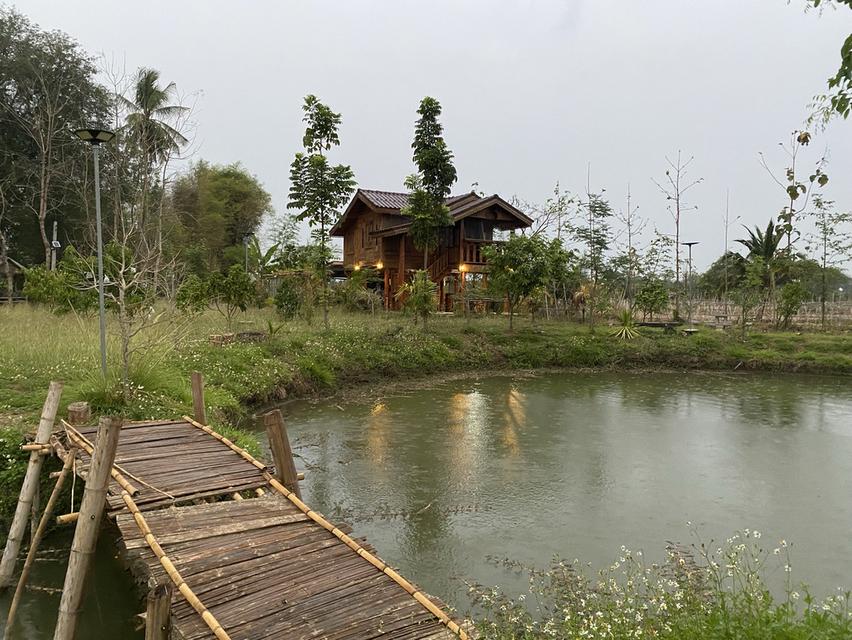 บ้านสวนคุณใหม่ (ดอยสะเก็ด) เชียงใหม่ 2